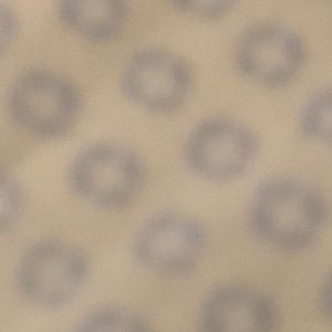 Meet your Posher, Tomi